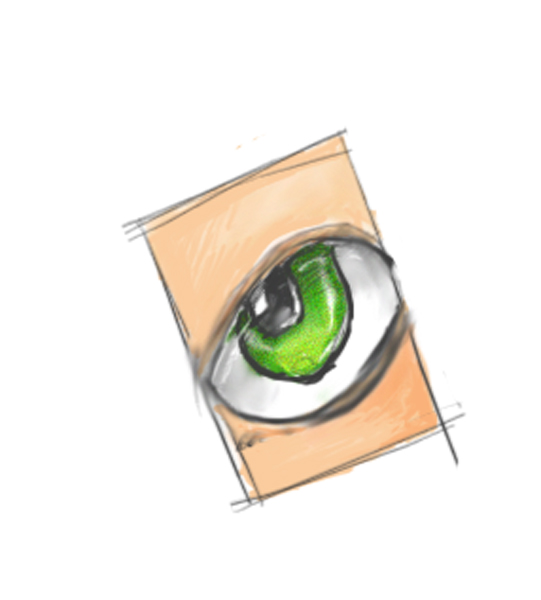 eye